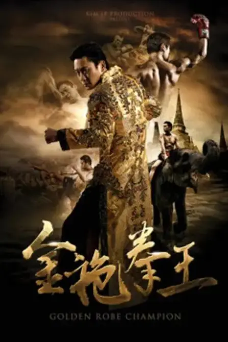 《金袍拳王》封面