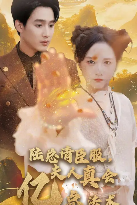 《陆总请臣服夫人真会亿点法术》封面