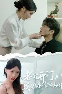 《老公开门，我是你新招的秘书》封面