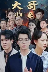 《大哥归来》封面