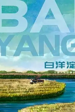 《白洋淀》封面