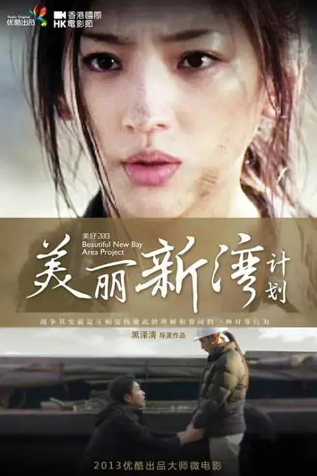 《美丽新湾计划》封面