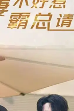《甜妻不好惹，霸总请接招》封面