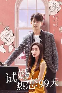 《试婚之热恋99天》封面