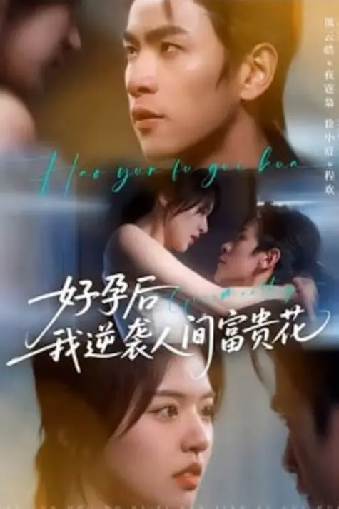 《夜先生的小欢喜（好孕后我逆袭人间富贵花）》封面