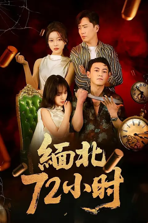 《缅北72小时》封面
