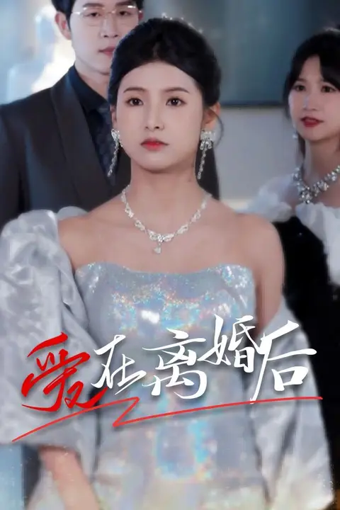《爱在离婚后》封面