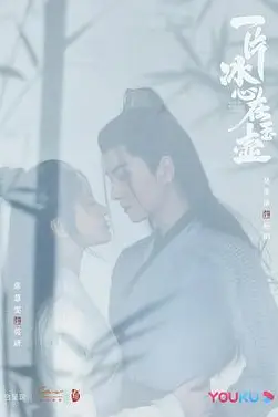 《一片冰心在玉壶》封面
