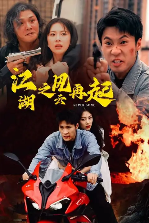 《江湖之风云再起》封面