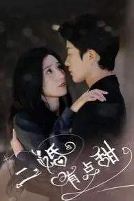 《二婚有点甜》封面