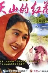 《天山的红花》封面