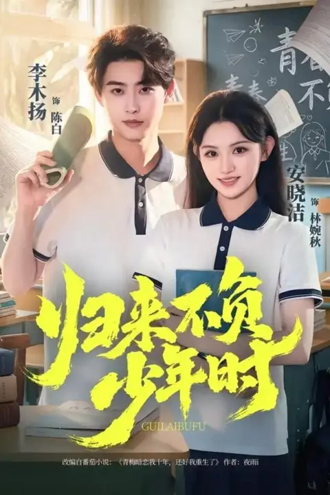《归来不负少年时》封面