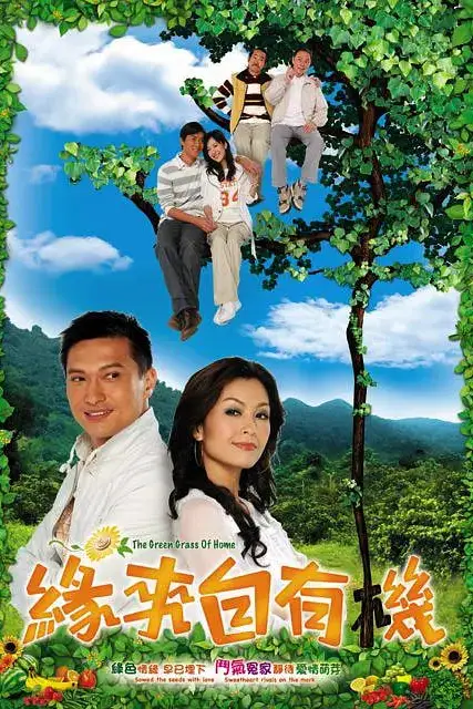 《缘来自有机》封面