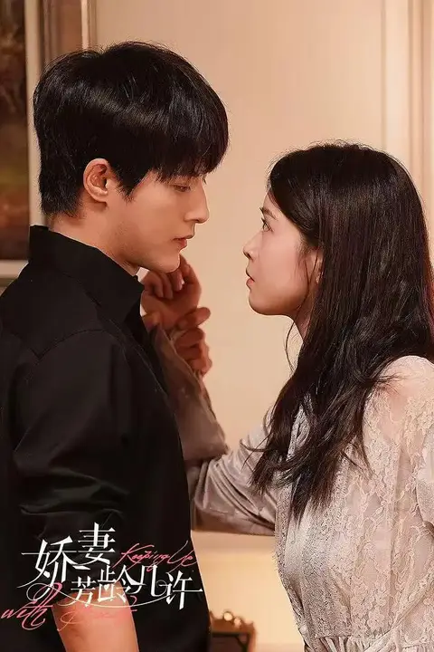 《娇妻芳龄几许》封面