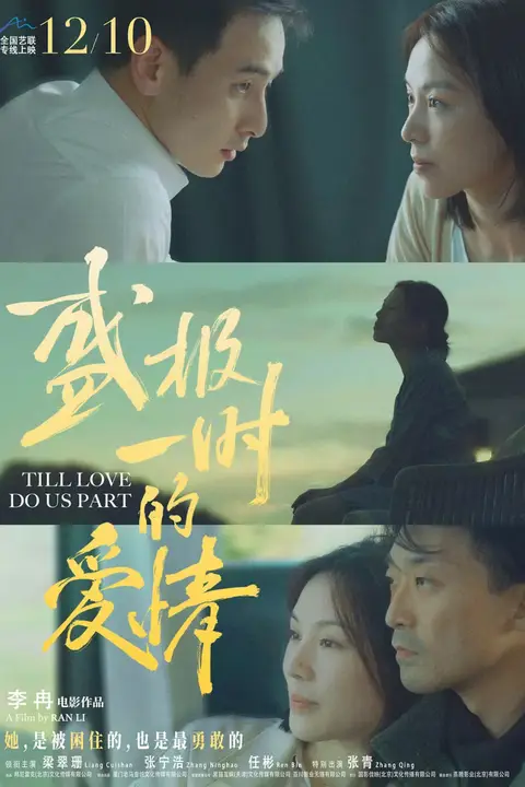 《盛极一时的爱情》封面