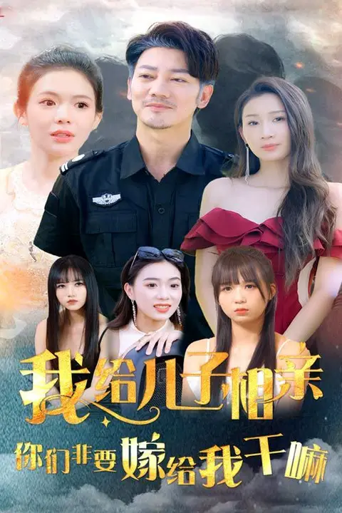 《我给儿子相亲，你们非嫁给我干嘛》封面