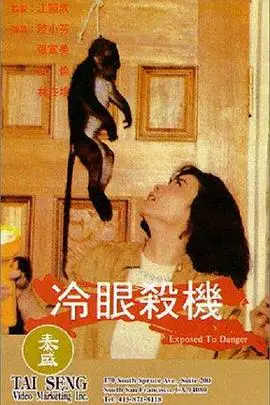 《冷眼杀机》封面