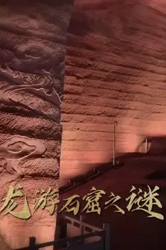 《龙游石窟之谜》封面