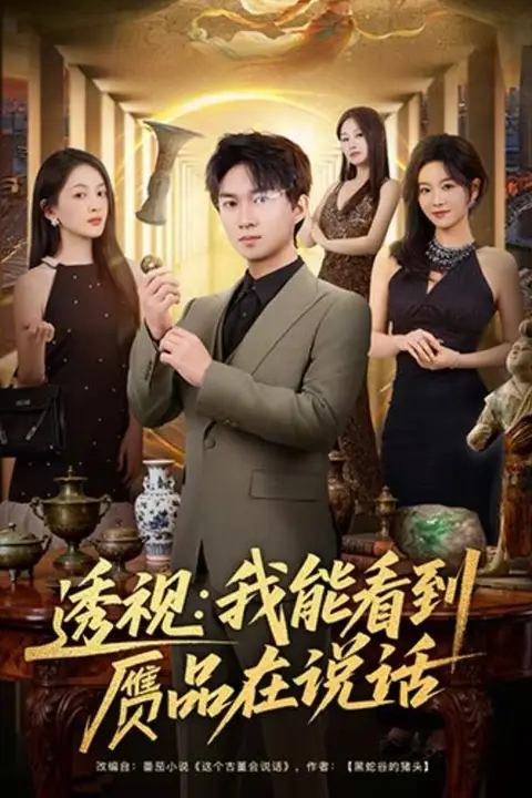 《透视:我能看到赝品在说话》封面