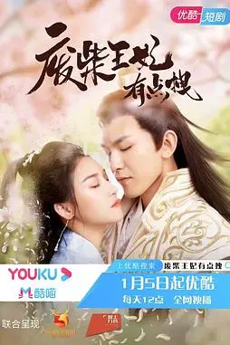 《废柴王妃有点拽》封面