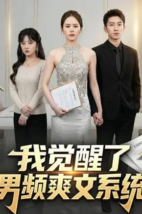 《我觉醒了男频爽文系统》封面