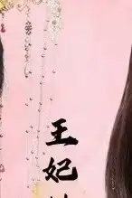 《王妃她又美又飒》封面