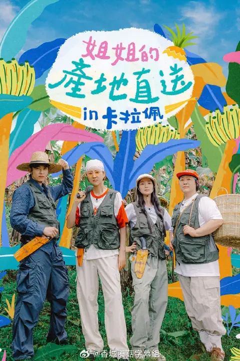 《姐姐家的产地直送3》封面