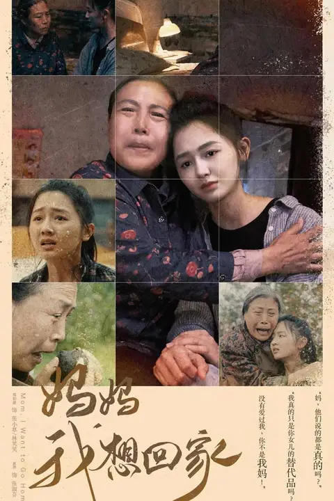 《我想回家》封面