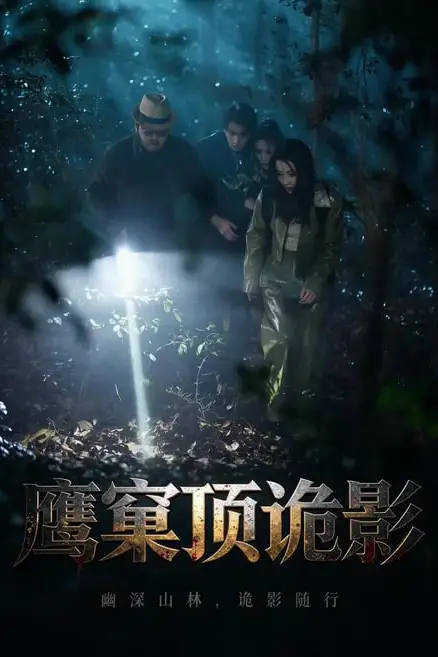 《鹰窠顶诡影》封面