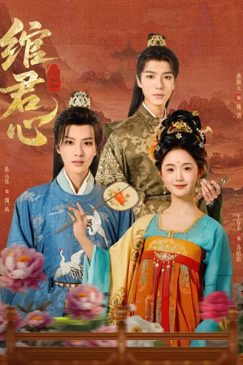 《绾君心》封面