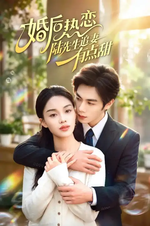 《婚后热恋陆先生追妻有点甜》封面