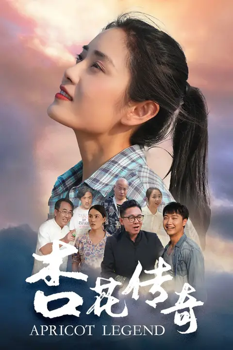 《杏花传奇》封面