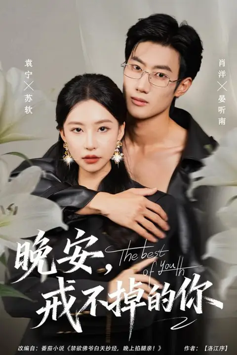 《晚安，戒不掉的你》封面