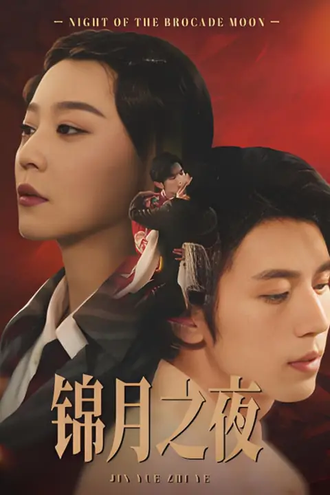 《锦月之夜》封面