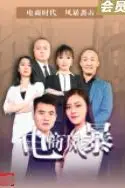 《电商风暴》封面