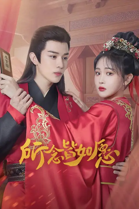 《所念皆如愿》封面