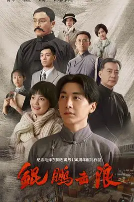 《鲲鹏击浪》封面