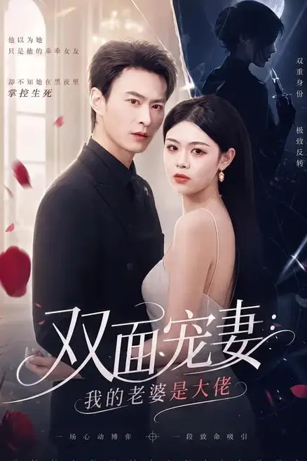 《双面宠妻：我的老婆是大佬》封面