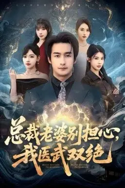 《总裁老婆别担心，我医武双绝》封面