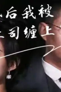 《离婚后我被前上司缠上了》封面