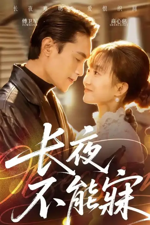 《长夜不能寐》封面