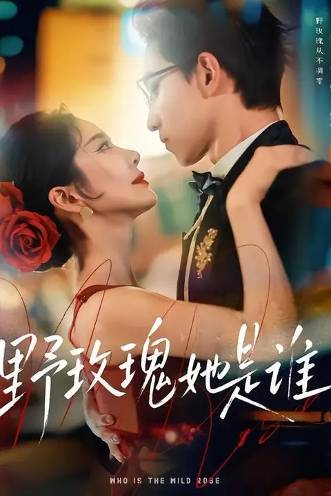 《野玫瑰她是谁》封面