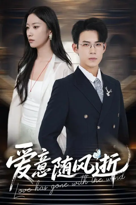 《爱意随风起航》封面