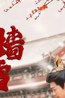《宫墙雪》封面