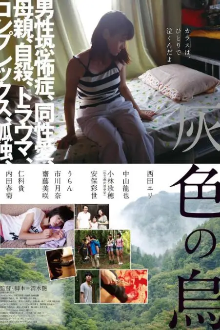 《灰色乌鸦》封面