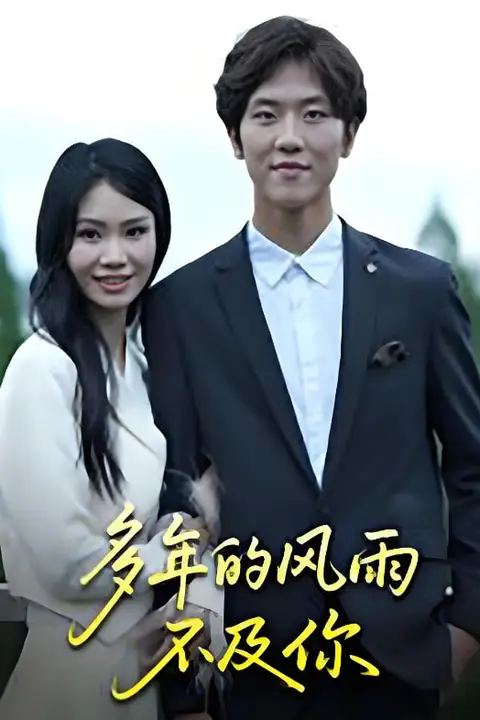 《多年的风雨不及你》封面