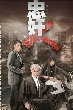 《忠奸人》封面