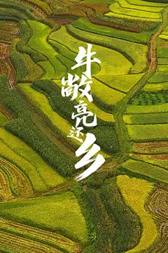 《牛敞亮还乡》封面