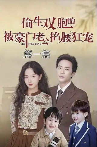 《偷生双胞胎被豪门老公掐腰狂宠》封面