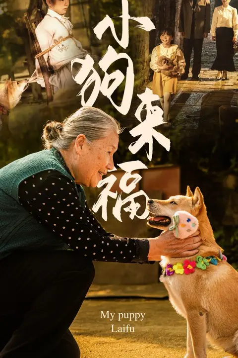 《小狗来福》封面